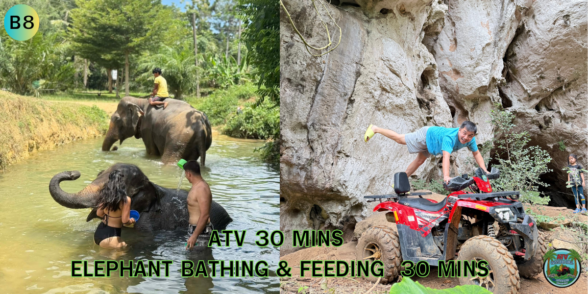 โปรแกรม ATV B8