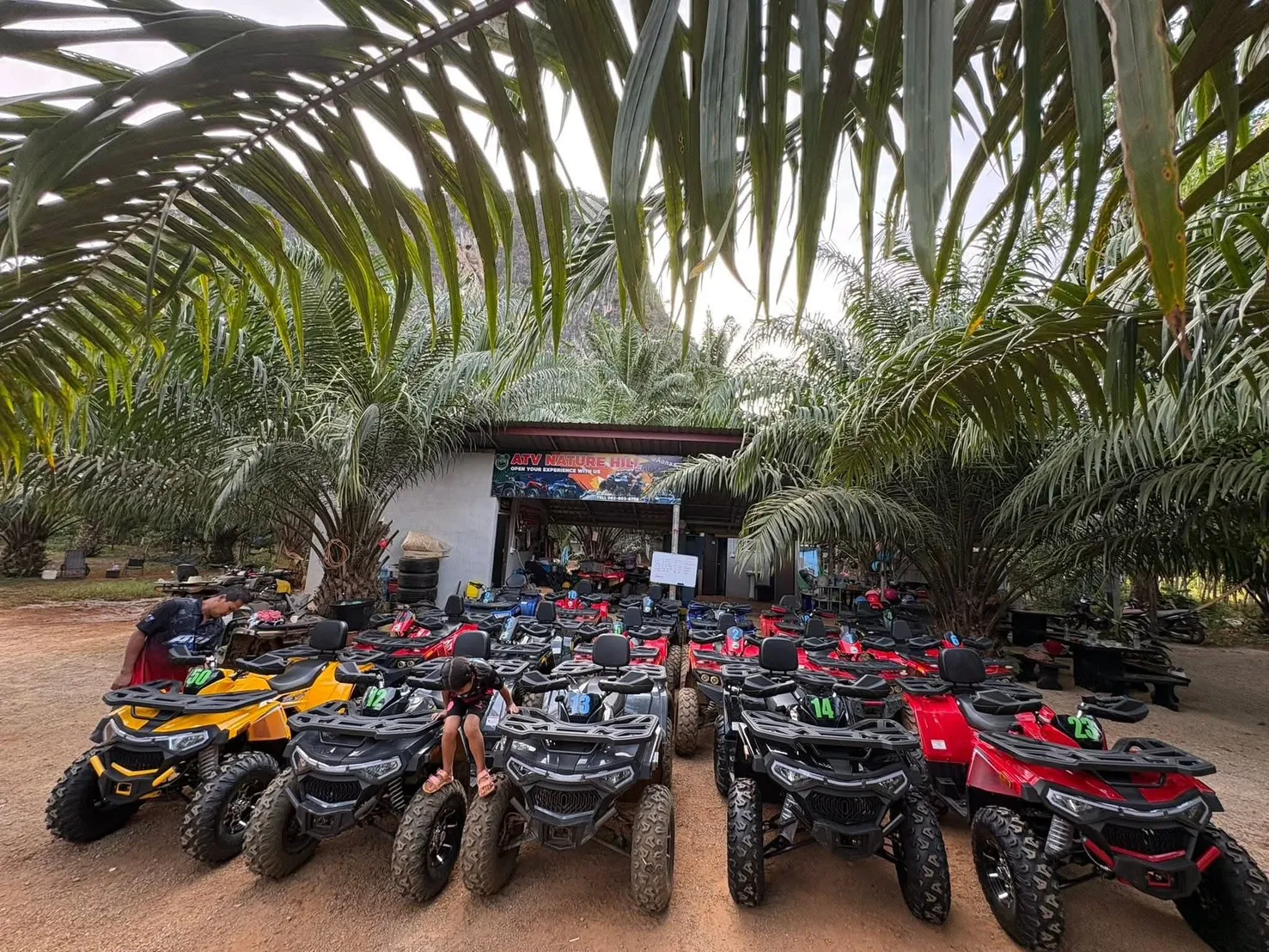 ฝูง ATV พรีเมียมพร้อมให้บริการ