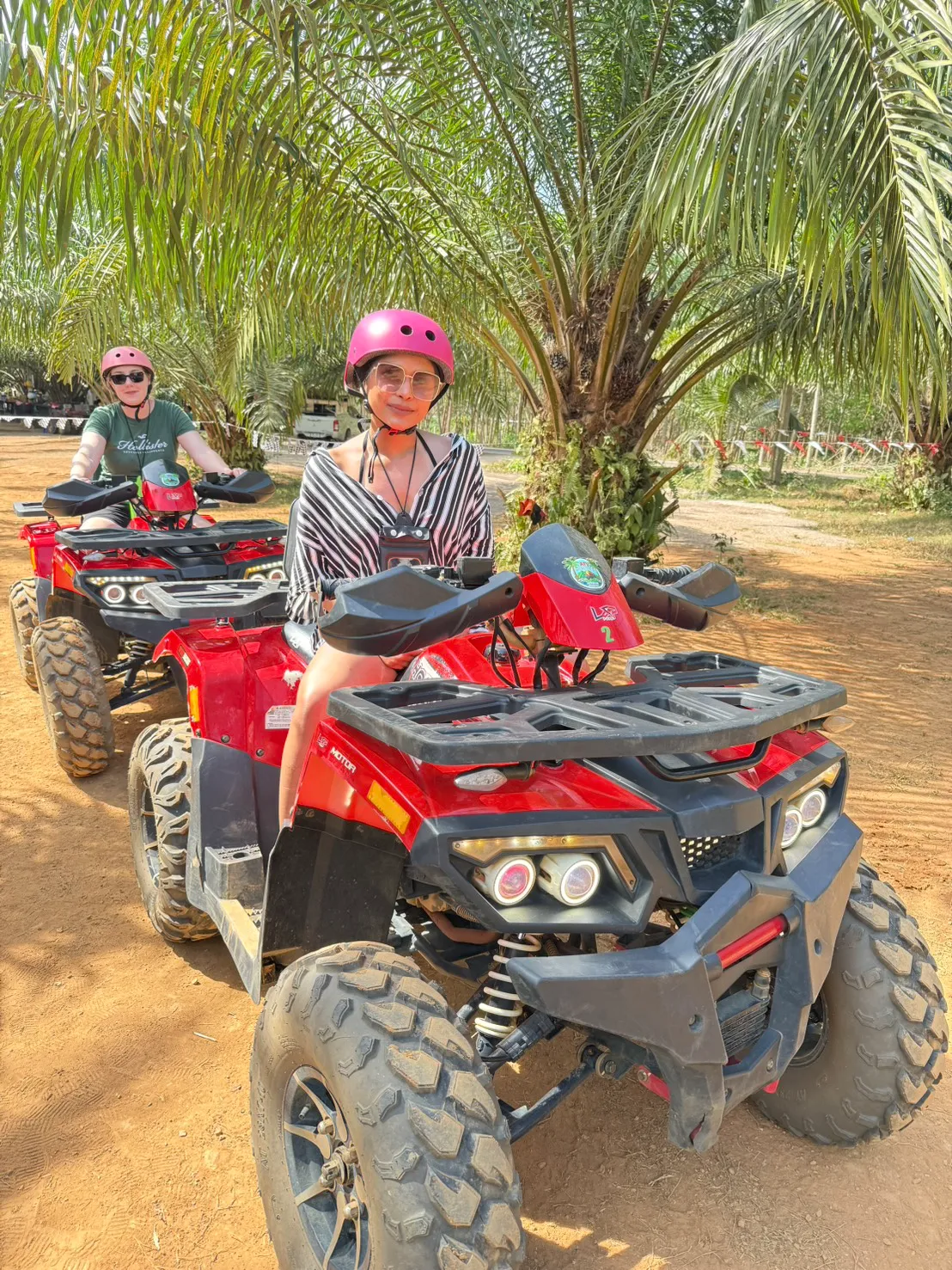 สาวๆ ขับ ATV แดงในสวนปาล์ม