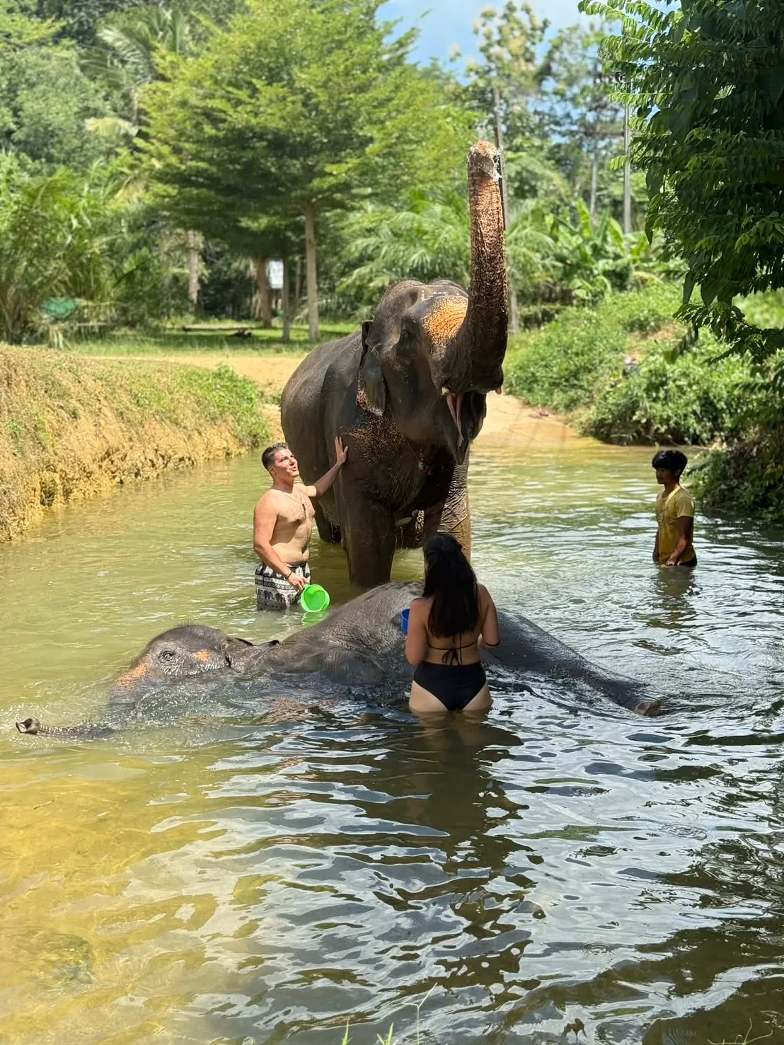 อาบน้ำช้างในแม่น้ำ