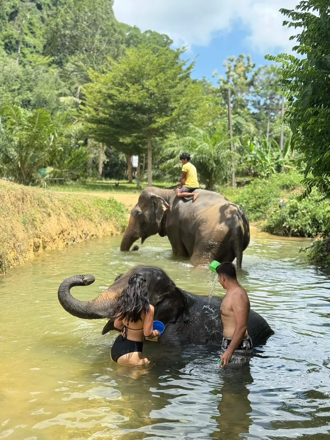 เล่นน้ำกับช้างวิวภูเขา