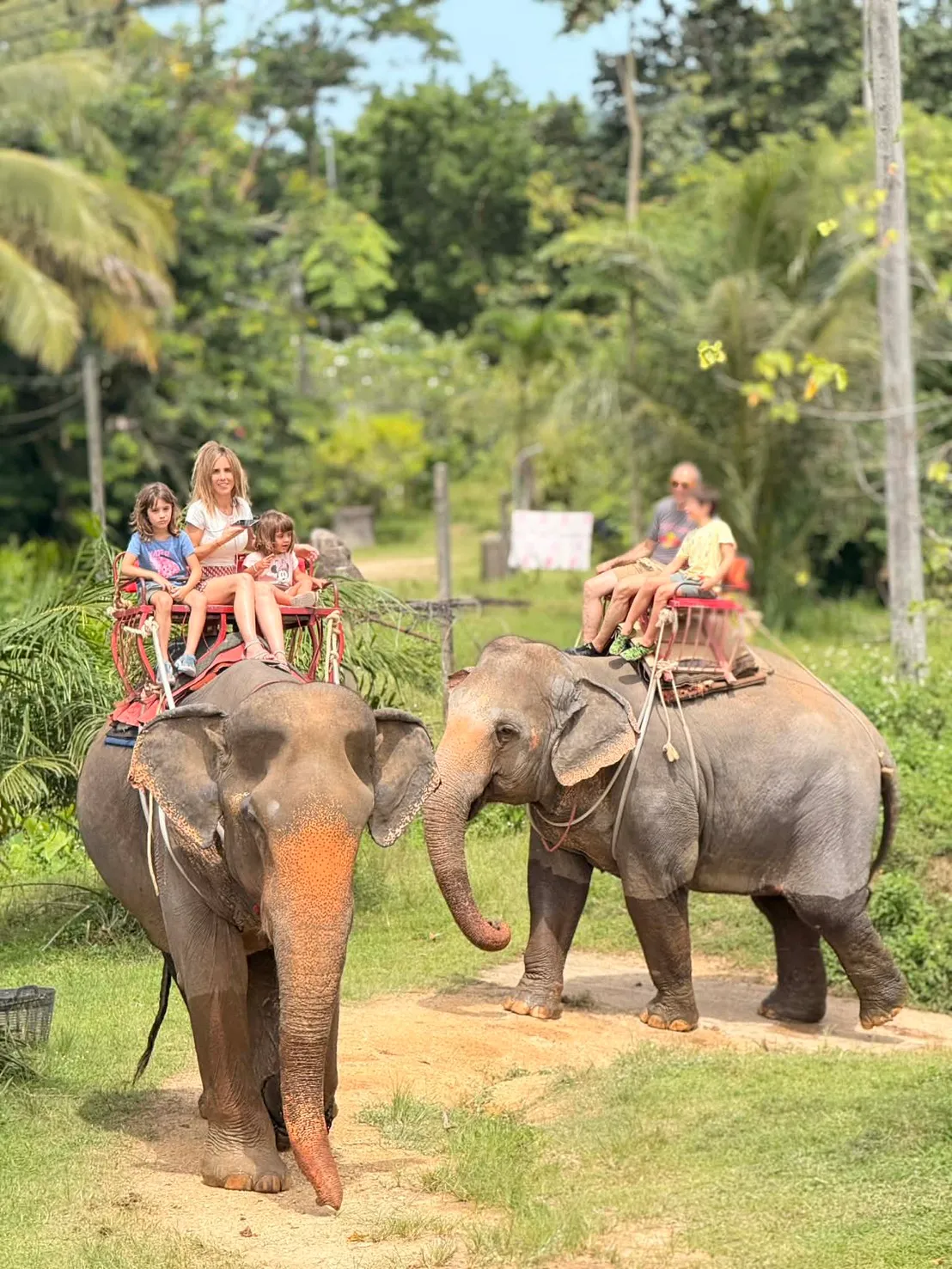 ขี่ช้างชมธรรมชาติสองตัว