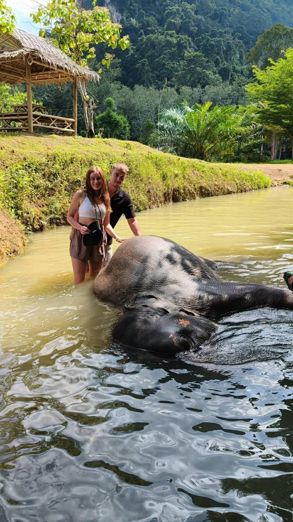 คู่รักอาบน้ำช้างในลำธาร