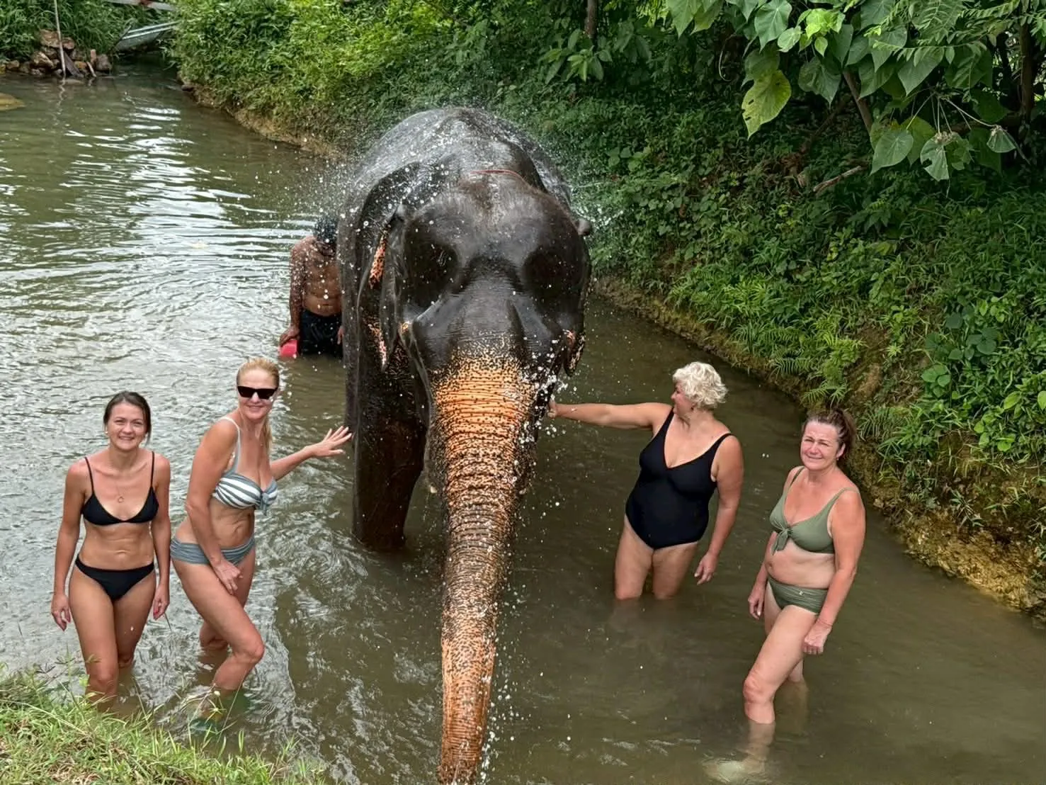 กลุ่มนักท่องเที่ยวอาบน้ำช้าง